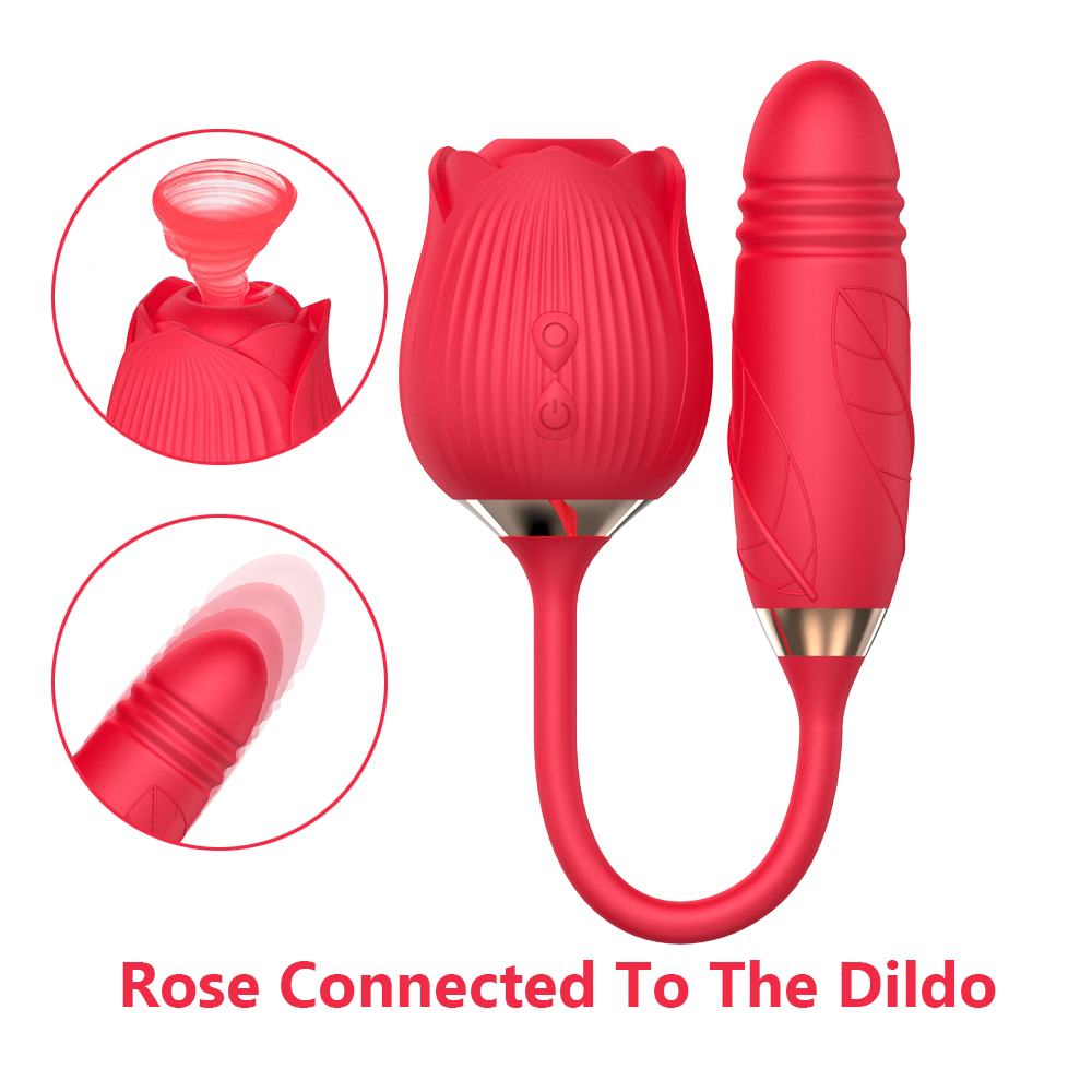 Hot Sex Toys for Female Masturbating 2 in 1 Rose Vibrator